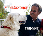 Дрессировка собак с проблемным поведением - зоопсихолог, кинолог, судья FCI. Выезд на дом или онлайн Kiev