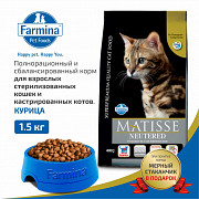 Farmina - полнорационный и сбалансированный корм для взрослых кошек Delivery from Yekaterinburg