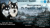 Alaskan malamute puppy, male, female show class FCI Karagandy  Delivery from Karagandy