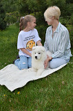 Samoyed puppy, female FCI Khabarovsk  Delivery from Khabarovsk