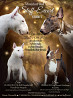 Bull terrier miniature chiot, masculin show class FCI Yekaterinburg  доставка из г.Yekaterinburg
