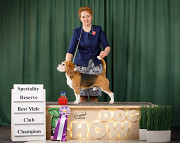 Beagle masculin show class FCI pour l'accouplement Moscow  Moscow