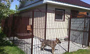 Зоогостиница для собак в Омске - Гучи. Omsk
