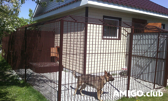 Зоогостиница для собак в Омске - Гучи. Омск - изображение 1