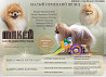 Німецький шпіц мініатюрний шпіц пёс шоу-клас FCI для спарювання Кемерово  Кемерово