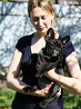 French bulldog puppy, female show class FCI Ivanovo  Delivery from Ivanovo