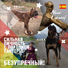 Spanish alano puppy, female show class FCI Moscow  Delivery from Moscow