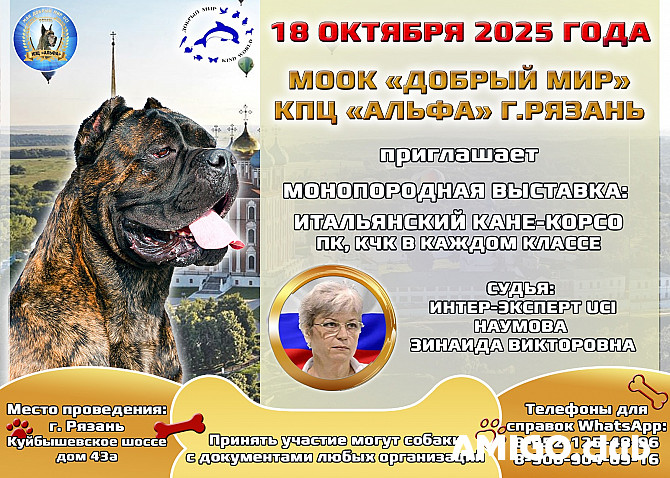 Выставка КПЦ Альфа Ryazan' - photo 1