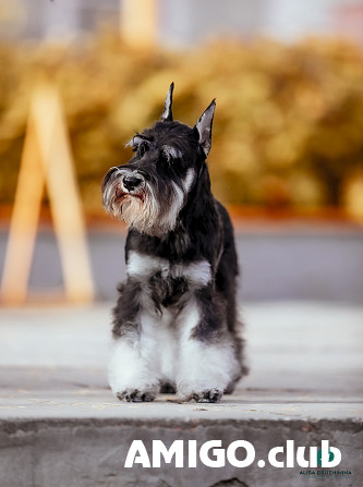 Фото и видеосъемка Yekaterinburg - изображение 1