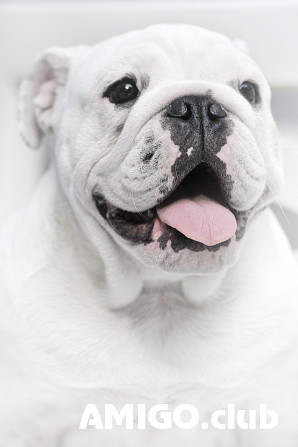 Услуги фотографа Orel - изображение 1